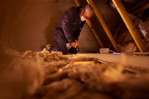 Best Insulation for Specific Applications in Peppermill Village, MD